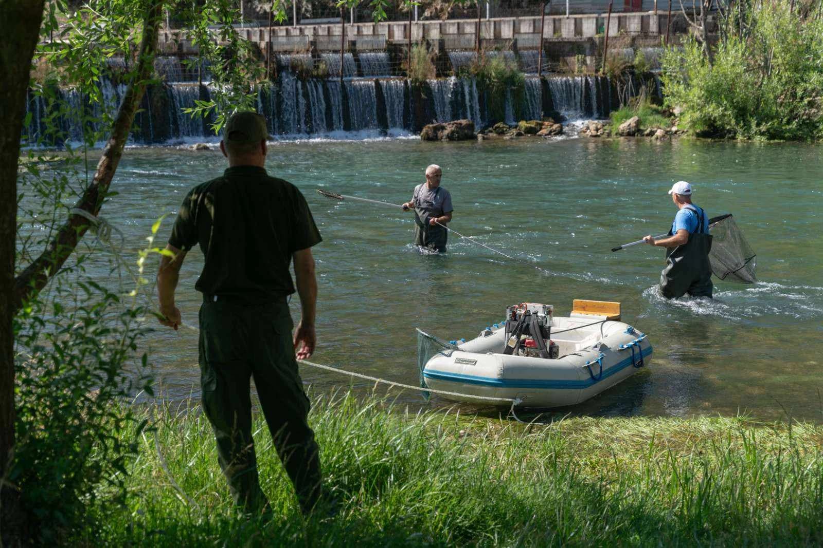 Istraživanje ribljih populacija u rijeci Buni 