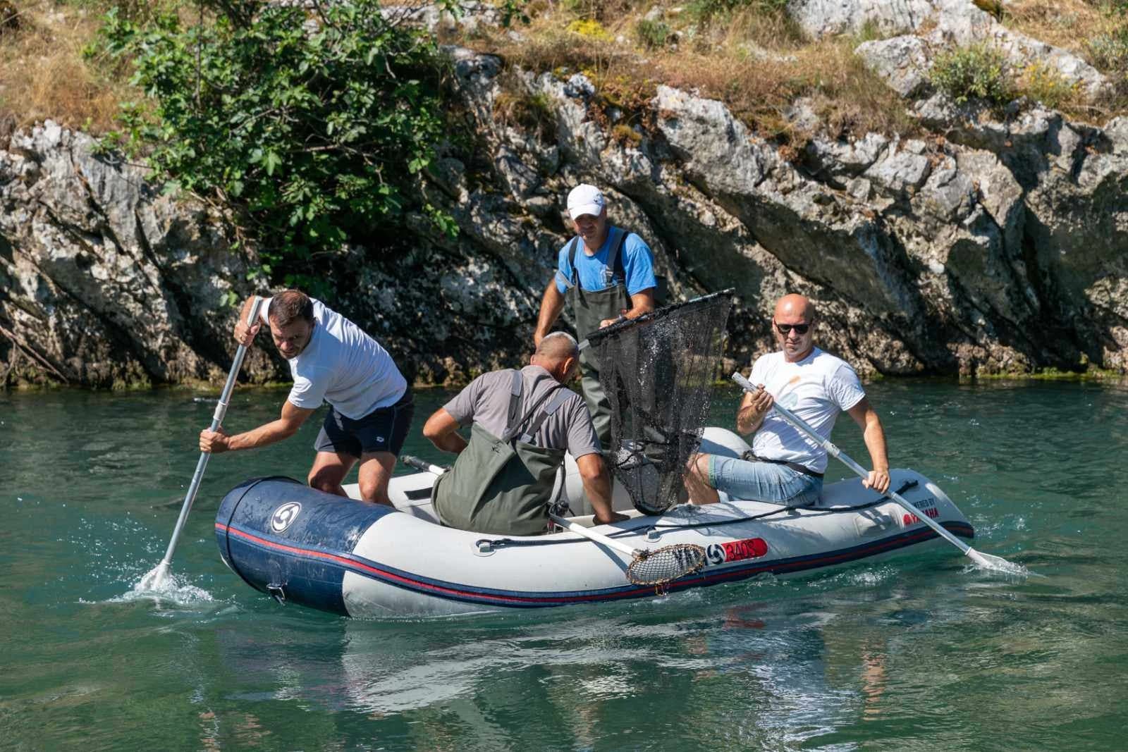 Istraživanje ribljih populacija u rijeci Buni 