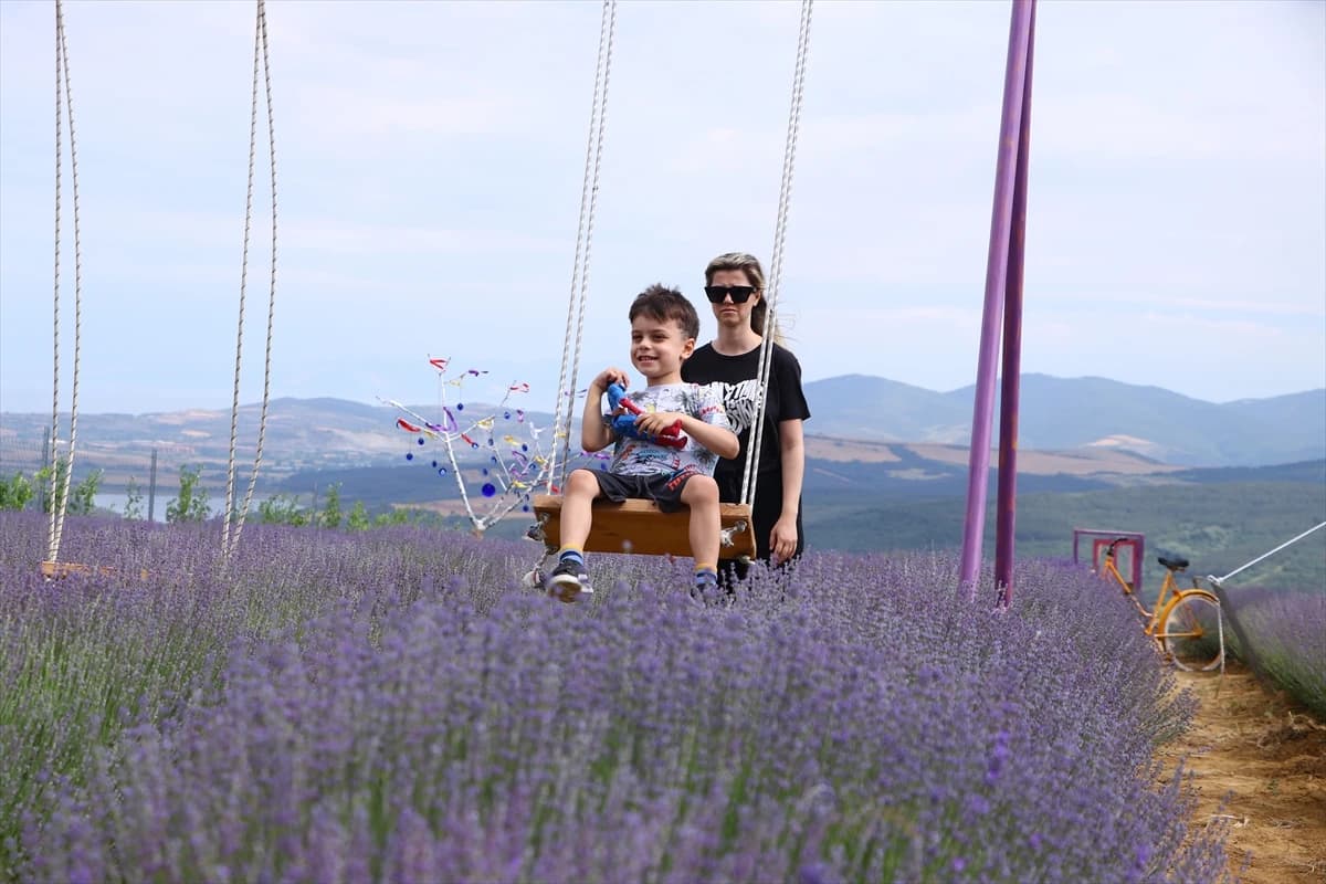 Dani lavande privlače veliki broj zaljubljenika u ovu biljku