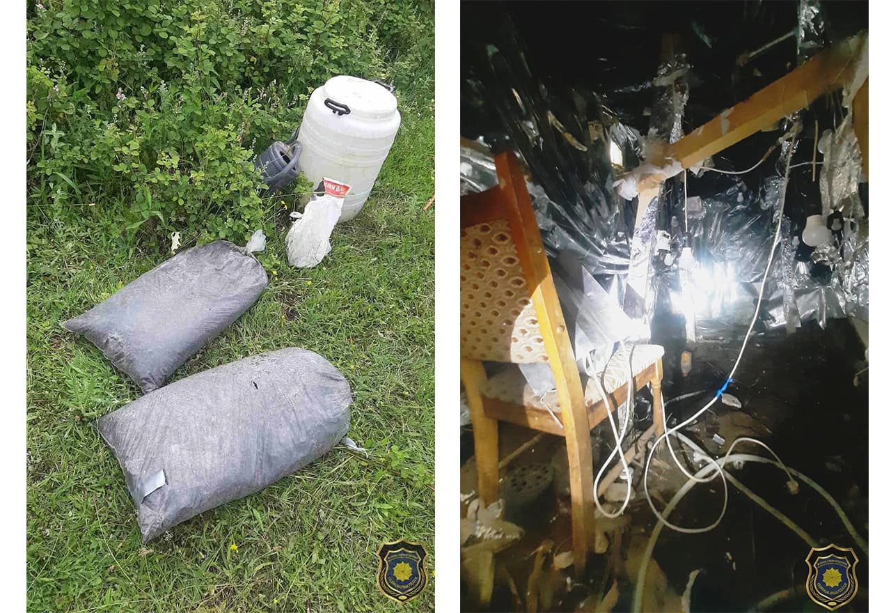 Zaplijenjena marihuana u Čapljini | Izvor: FUP