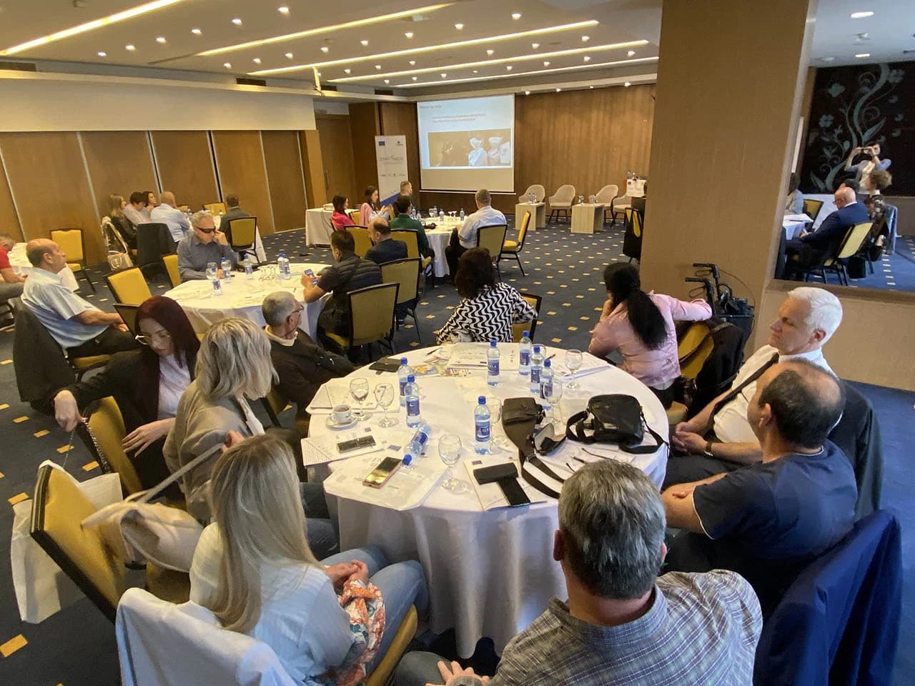 Razvoj profesionalne rehabilitacije u BiH: izazovi i prilike