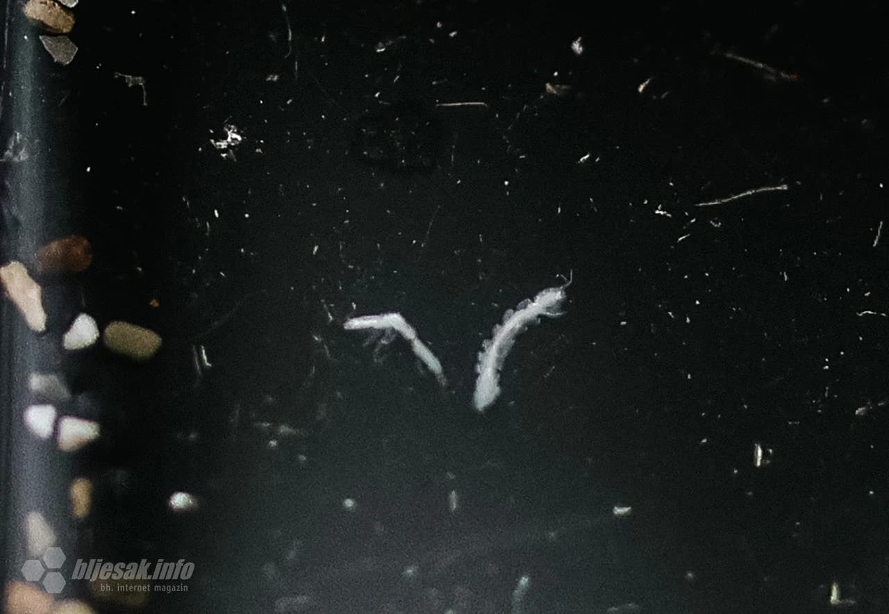 Preko 70 znanstvenika istražuje Neretvu kod Uloga 