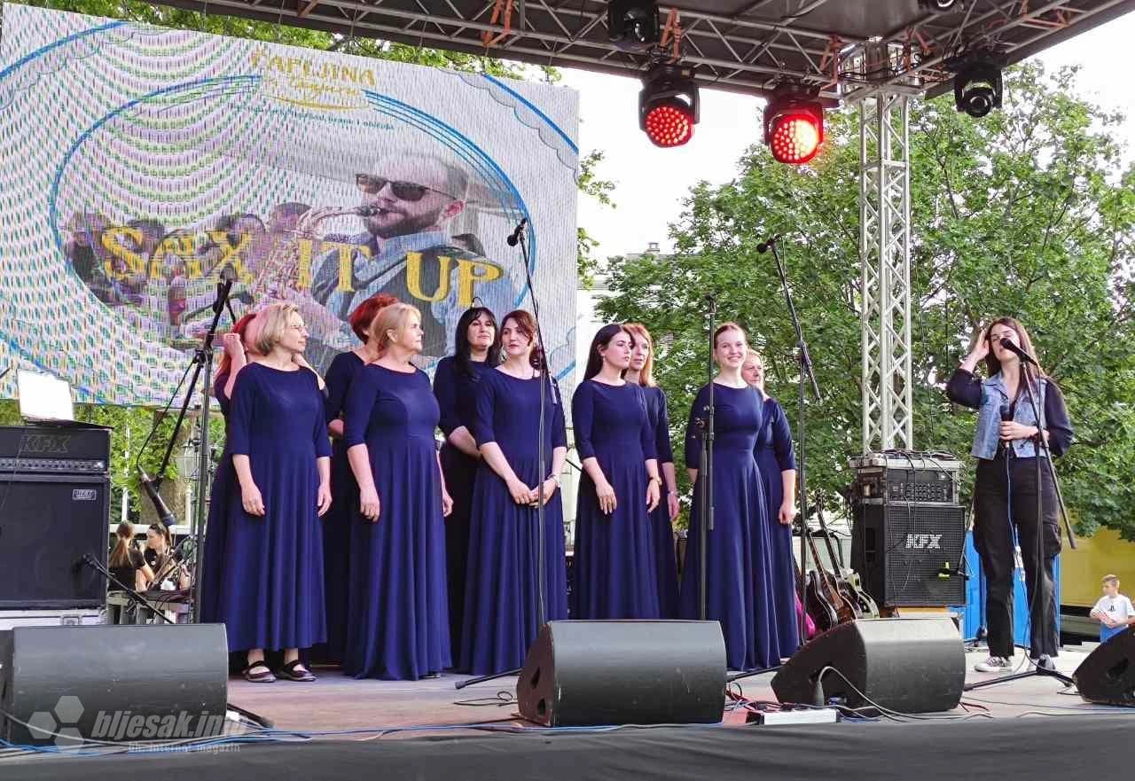 Manifestacija "Čapljina u Tanjuru"