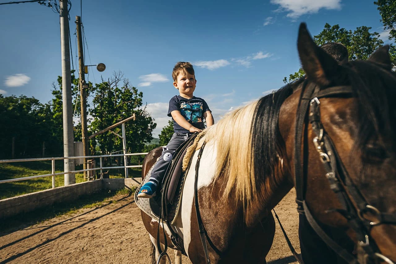 Konjički klub Mostar