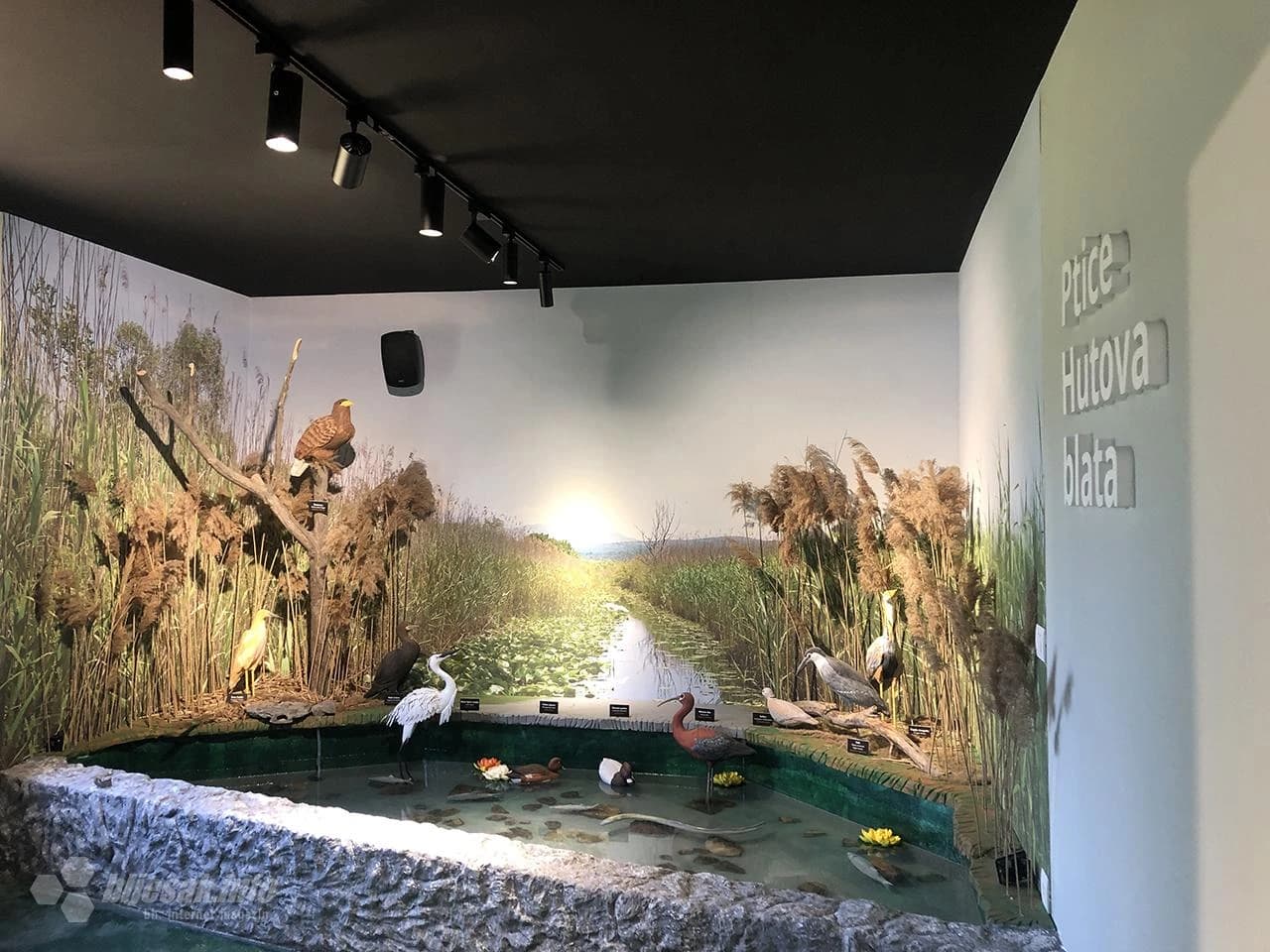 Predstavljena nova turistička ponuda Parka prirode Hutovo blato