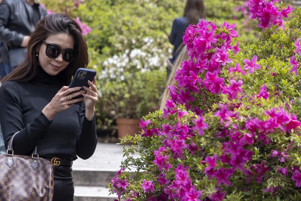 Čuvene Španjolske stepenice ukrašene ružičastim azalejama