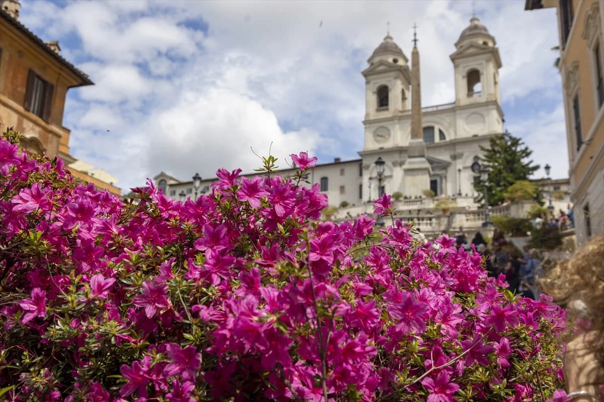 Kakvi ružičasti prizori na Španjolskim stepenicama