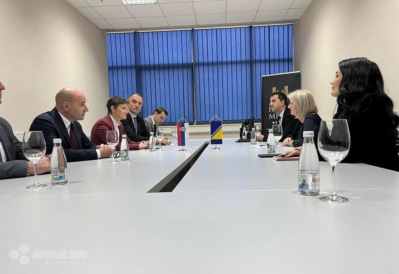 Ana Brnabić na sastaku sa Borjanom Krišto