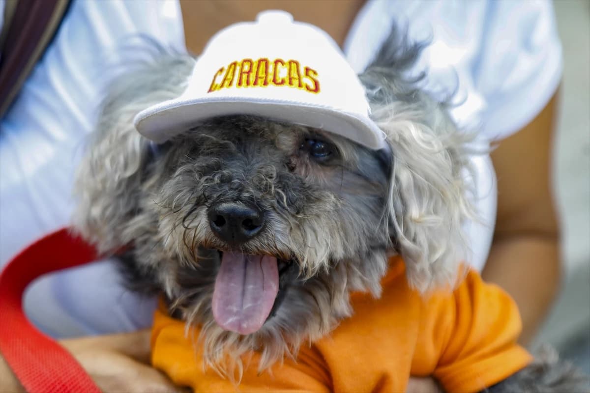 Događaj je organiziran s ciljem promocije zaštite životinja 