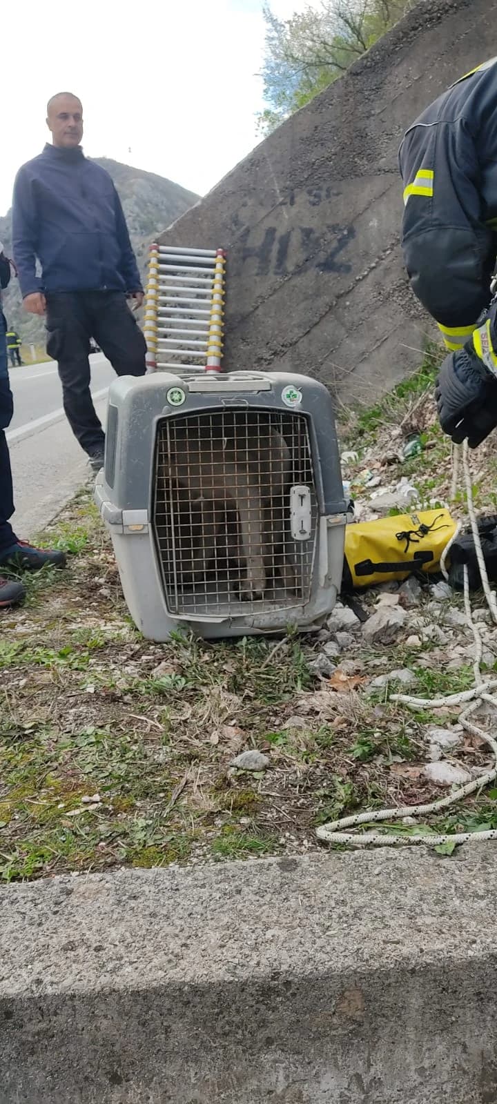 Akcija spašavanja psa