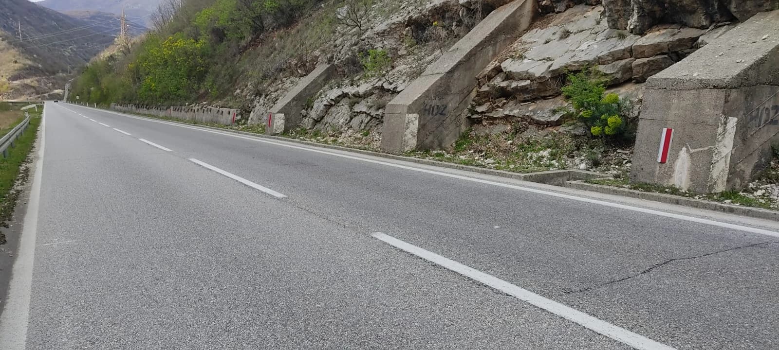 Akcija spašavanja psa