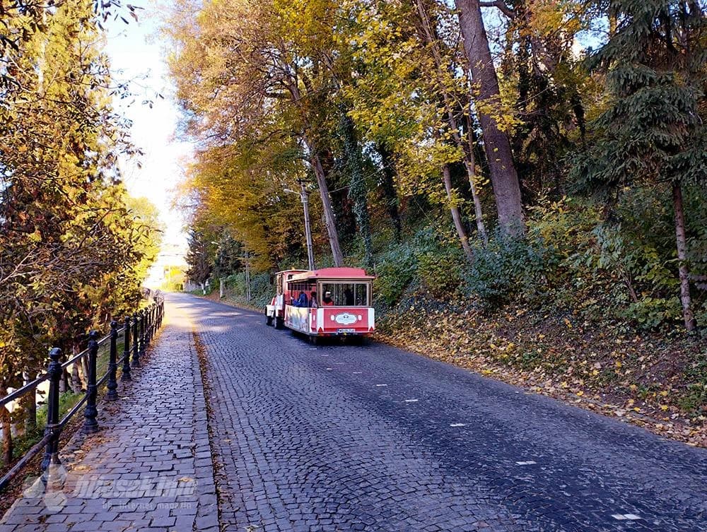 Neka, hvala, mi ćemo pješke