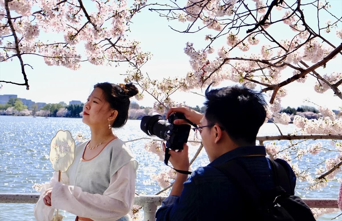 Nacionalni festival cvijeta trešnje