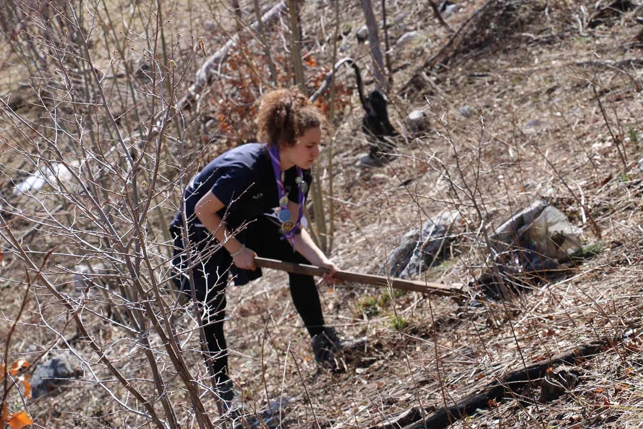 Akcija pošumljavanja na Rujištu