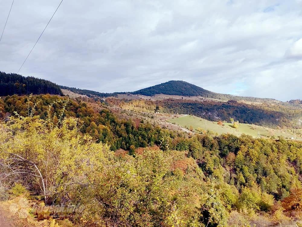 Šetnja zlatiborskim zelenilom