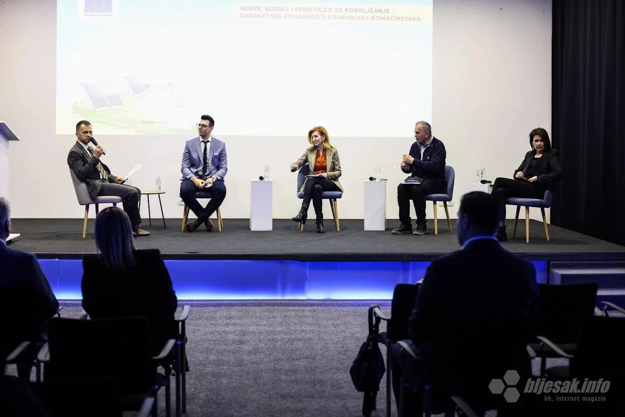 Stručna diskusija ''Mjere, koraci i podsticaji za poboljšanje energetske efikasnosti kompanija i domaćinstava''