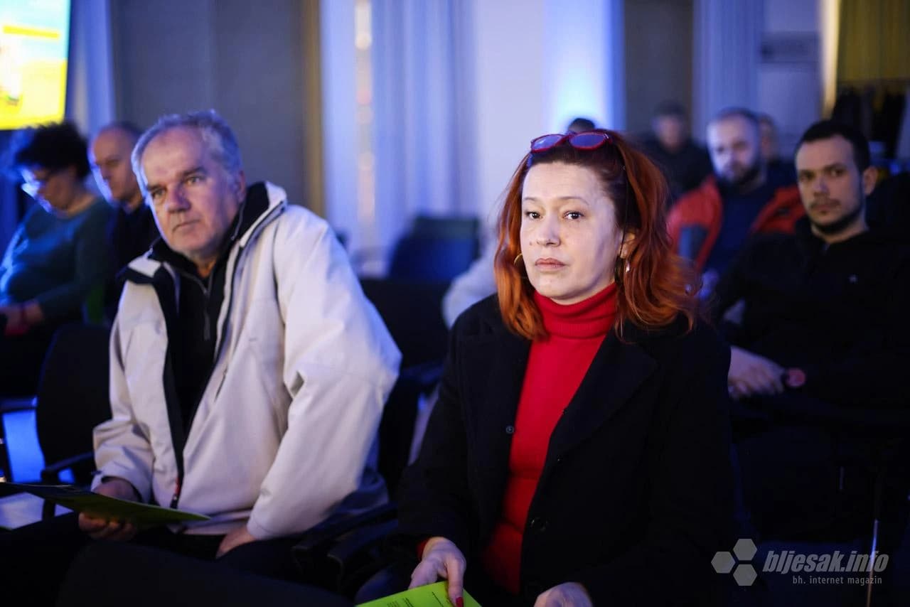 Stručna diskusija ''Mjere, koraci i podsticaji za poboljšanje energetske efikasnosti kompanija i domaćinstava''