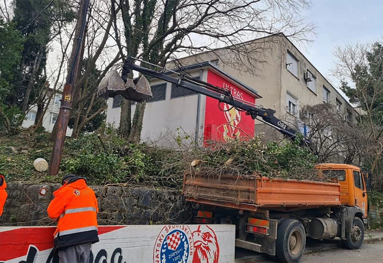 Čišćenje Panjevine