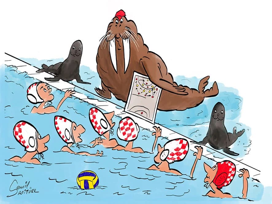 Cemil Safiturk - Turska