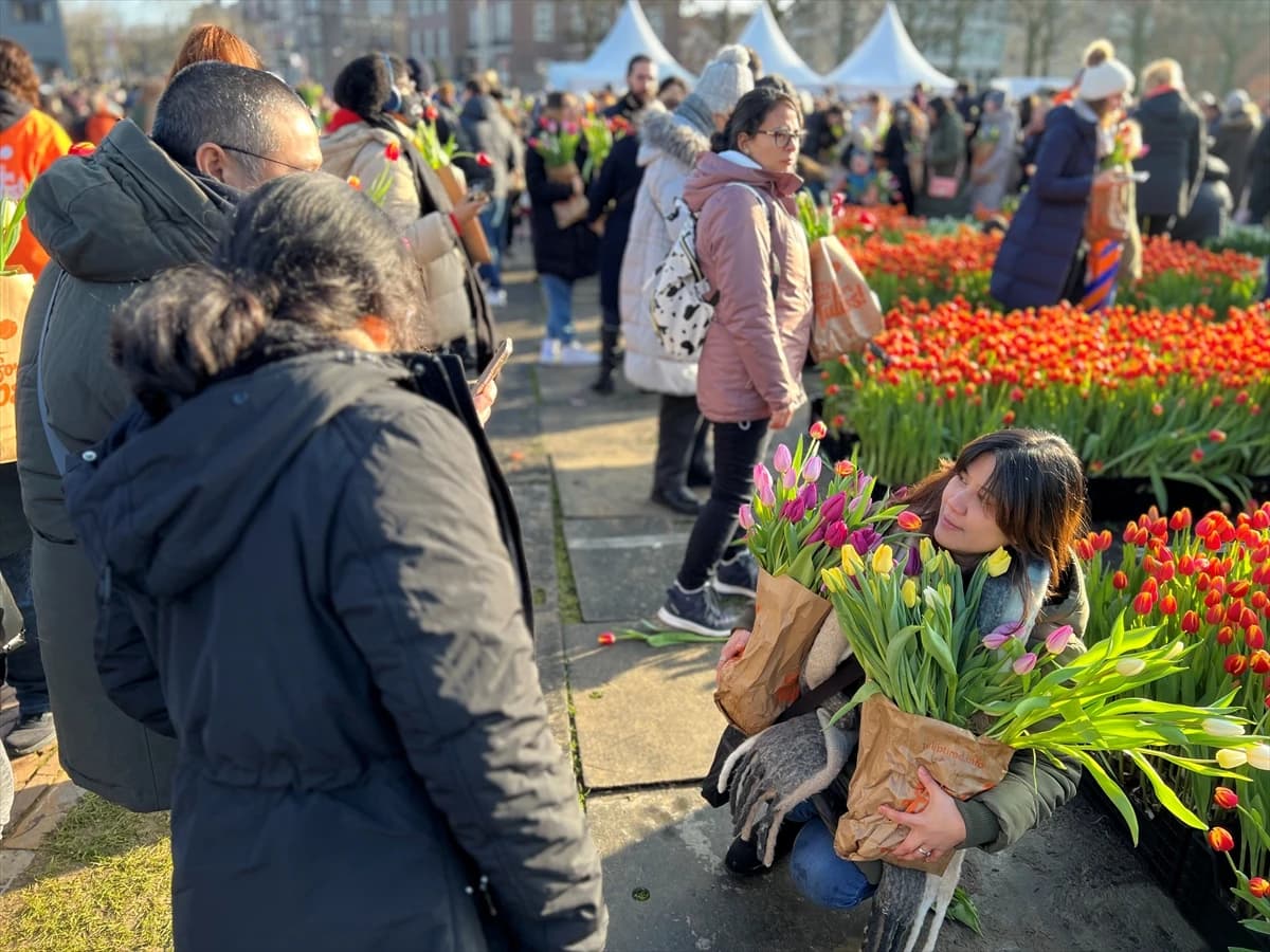Obilježen Nacionalni dan tulipana