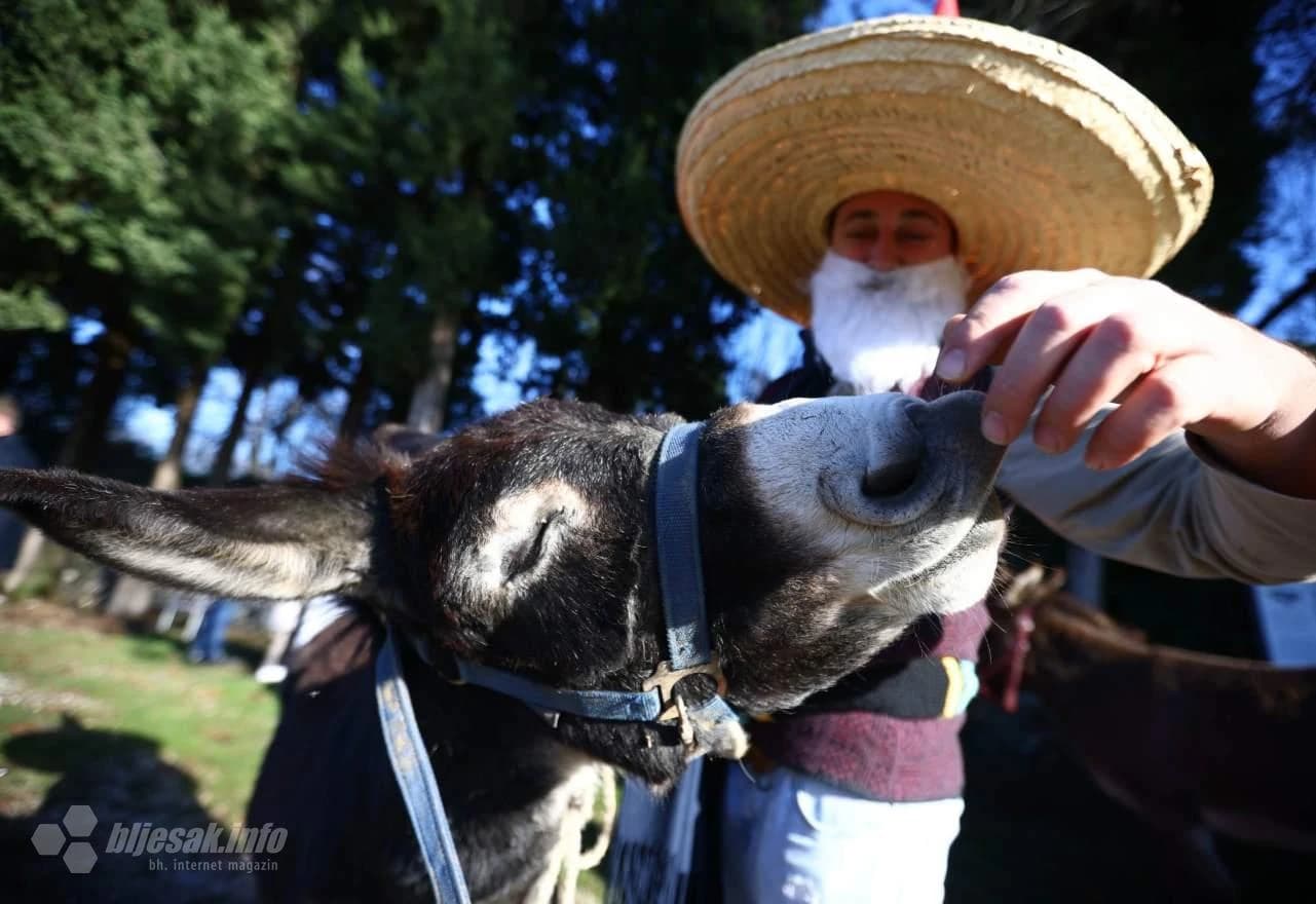 Utrka magaraca u Čapljini 