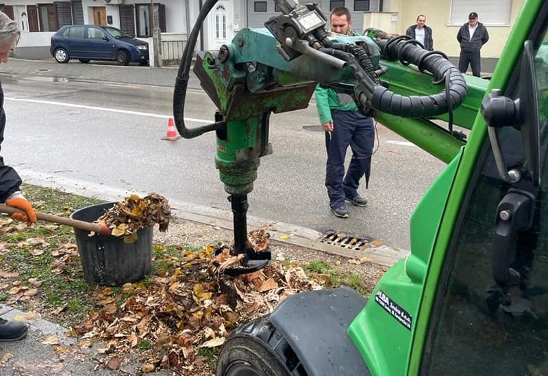 Odmah po uklanjanju starih panjeva mogu se saditi mlada stabla