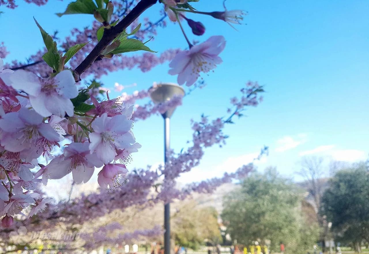 Proljetno vrijeme u Mostaru 