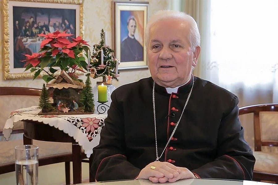 Franjo Komarica