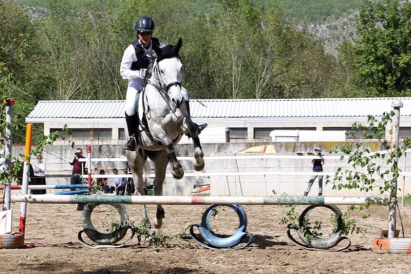Konjički klub Stina