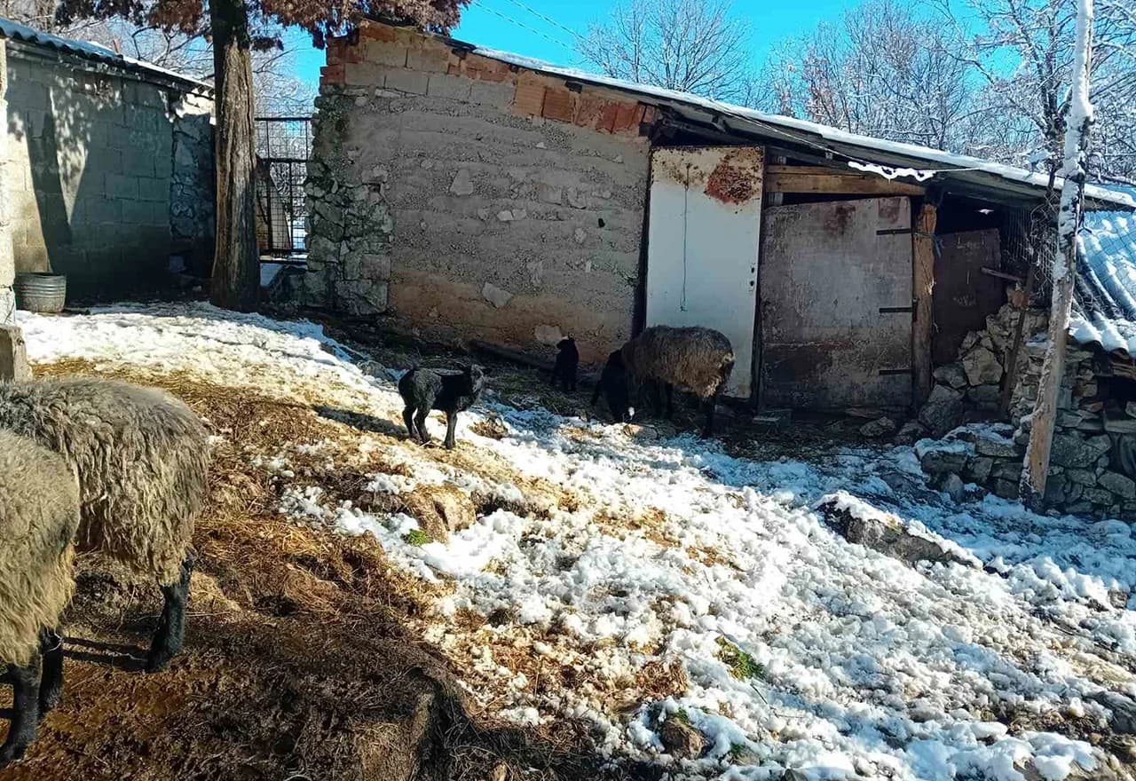 Zimska idila u selu Đubrani