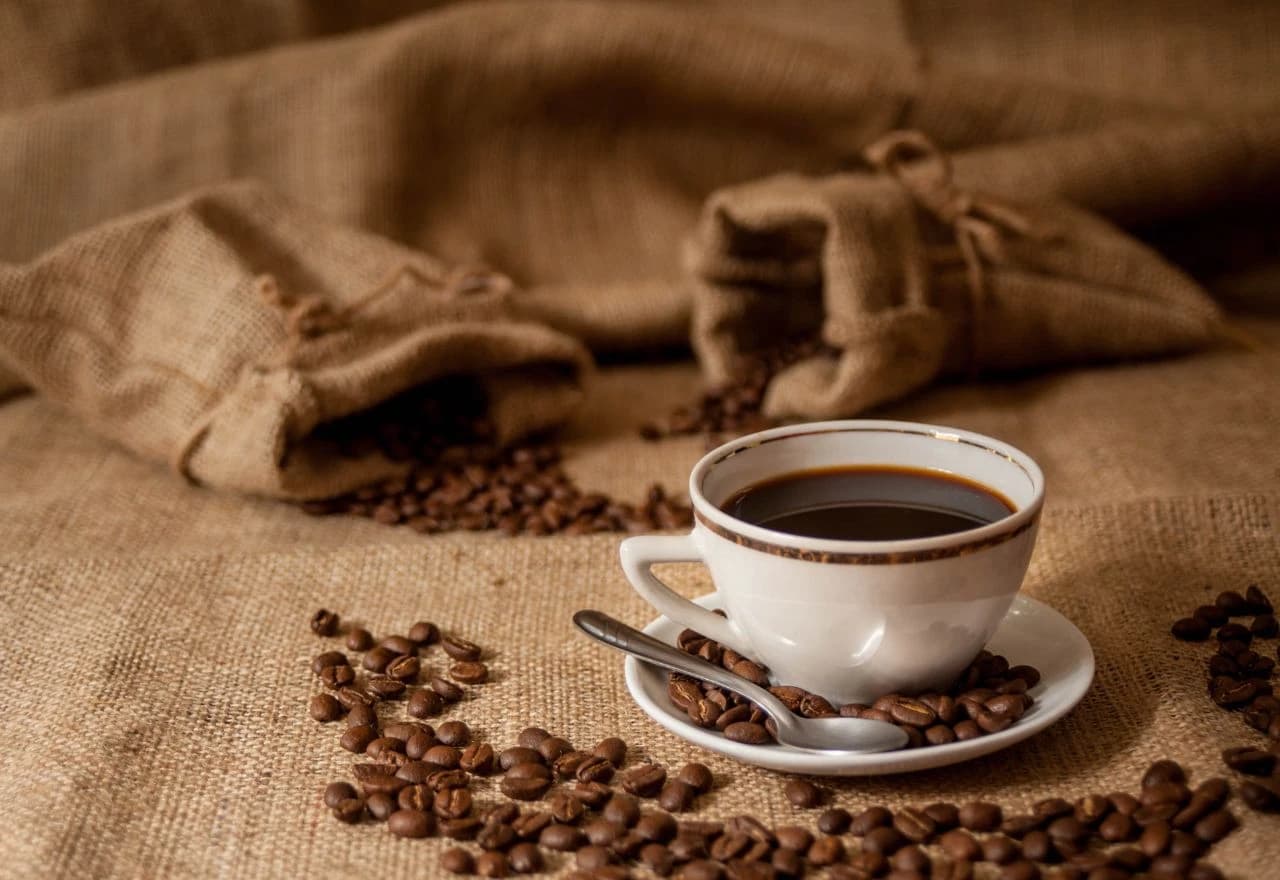 Kava