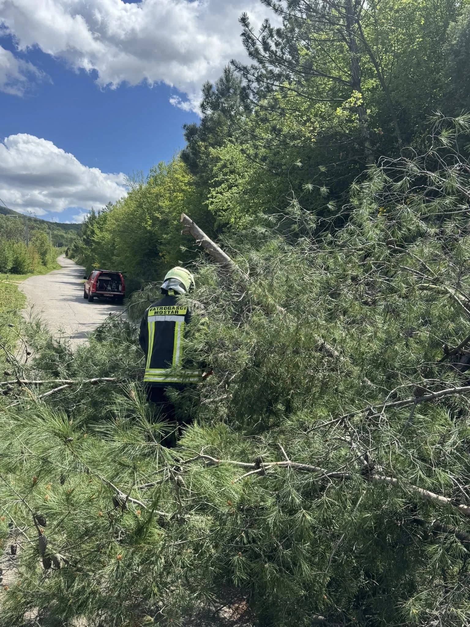 Uklanjanje stabala u mjesto Vranjevići