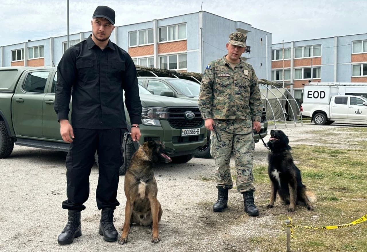 Analiza deminerskih aktivnosti