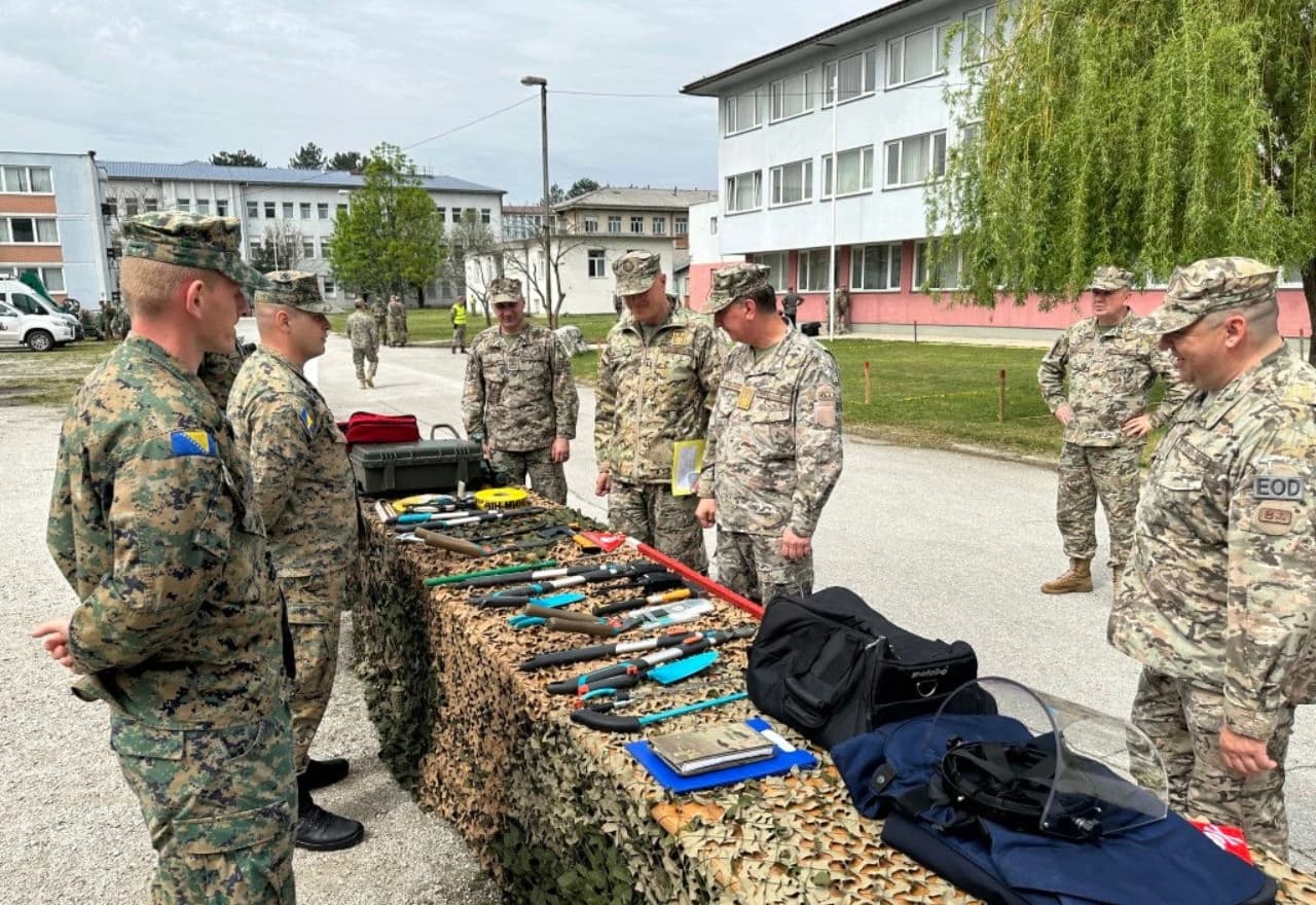 Analiza deminerskih aktivnosti