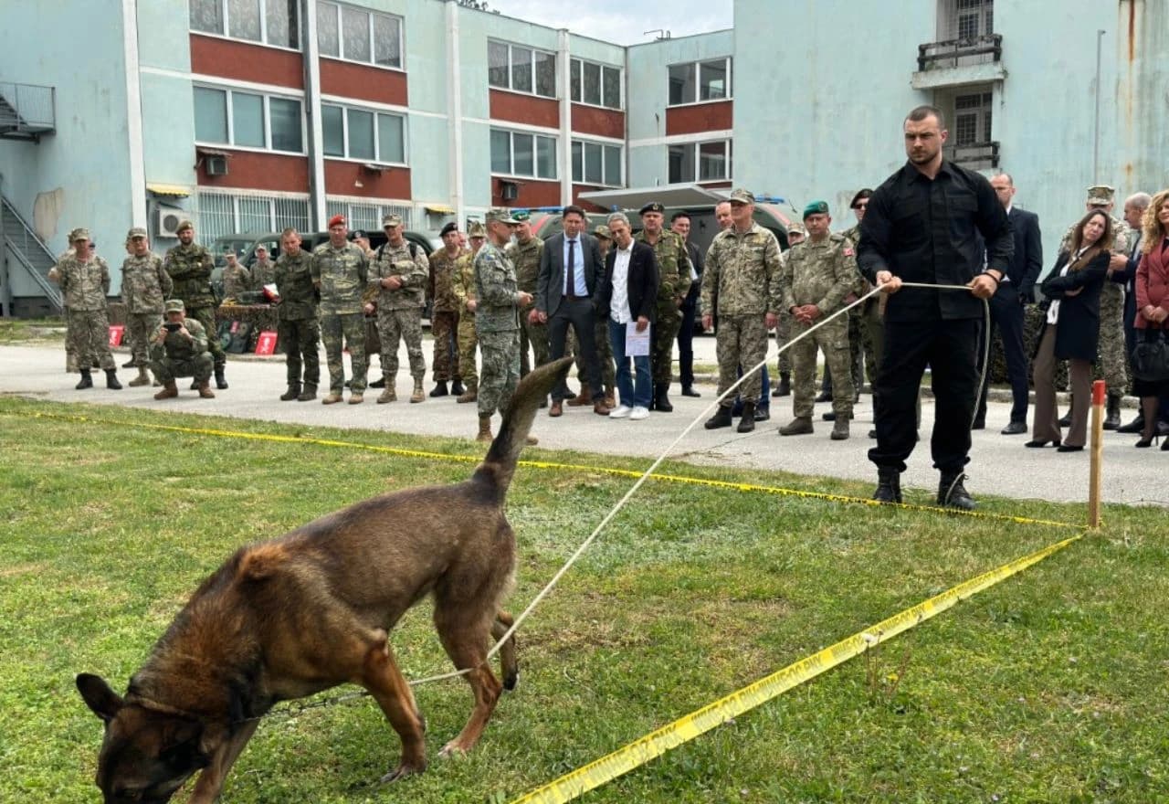 Analiza deminerskih aktivnosti