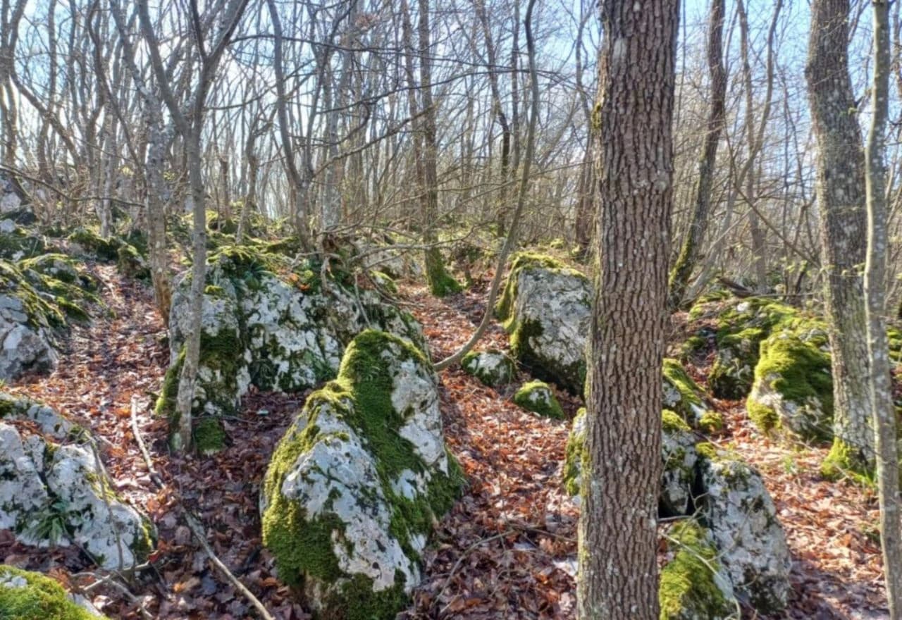 Otkrivena nova ilirska gradina u Petrovićima