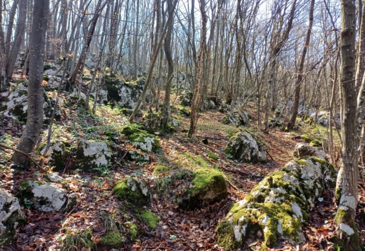 Otkrivena nova ilirska gradina u Petrovićima