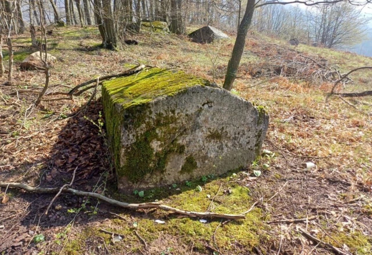 Otkrivena nova ilirska gradina u Petrovićima