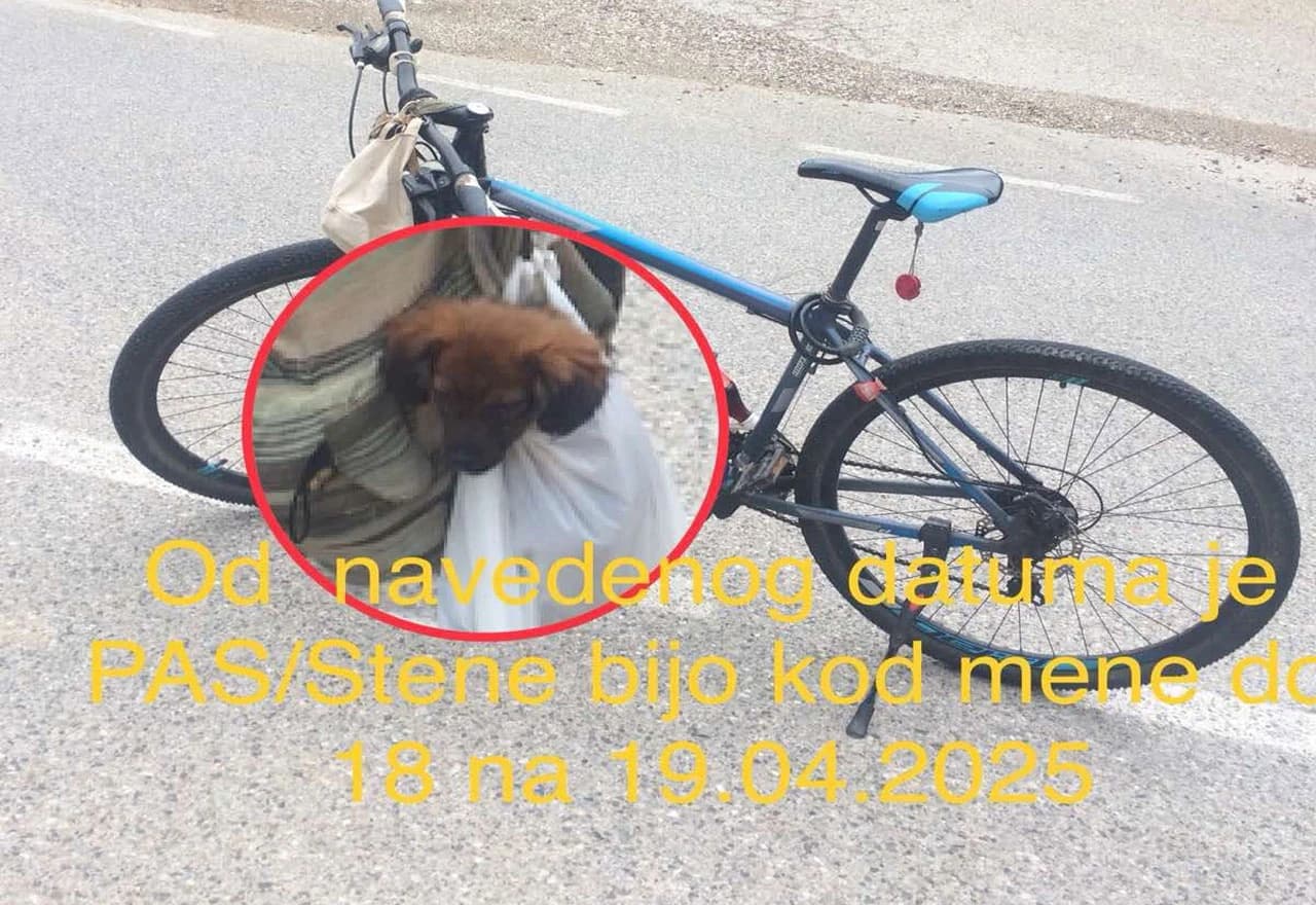 Sedamdesetogodišnjak iz Prnjavora moli pomoć u potrazi za ukradenim psom