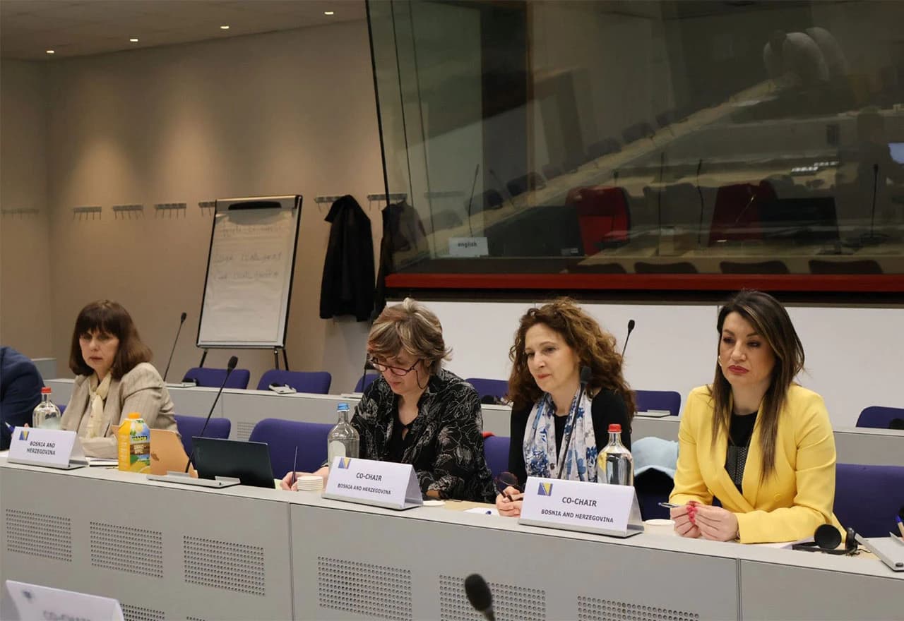 Održan je osmi sastanak Pododbora za trgovinu, industriju, carine i oporezivanje između EU i BiH u Briselu.