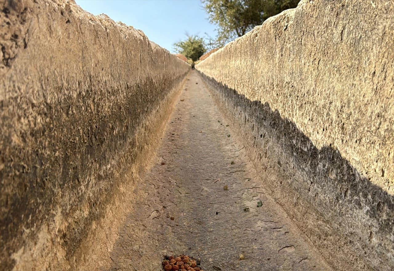 Isušivanje izvora Al-Auja