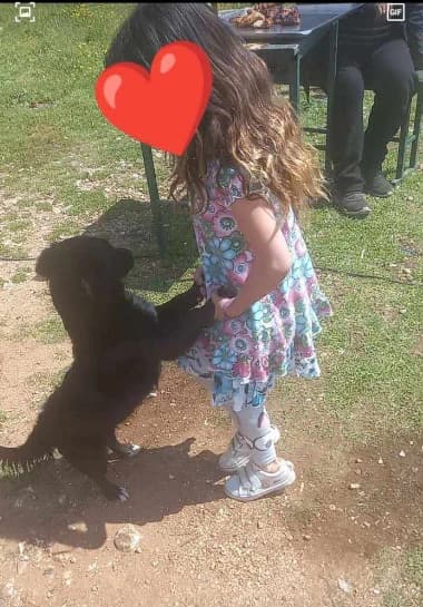 Zajedno za Klari i sve zaboravljene: Topliji dom za budućnost