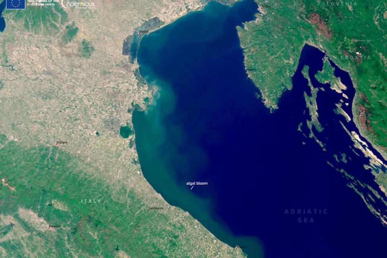 Satelitska snimka cvjetanja mora