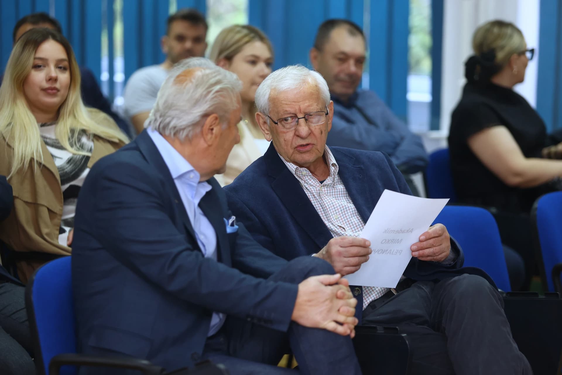 Kako sačuvati Bosnu - politički testament akademika Muhameda Filipovića