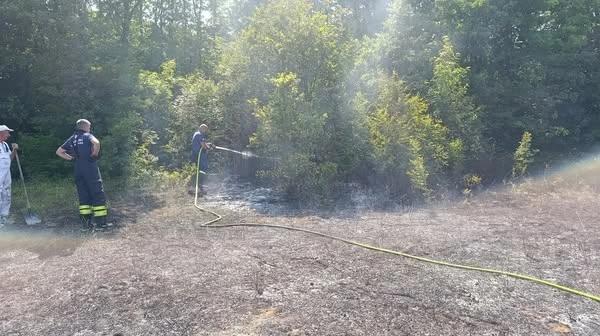 Požar u Ljutom Docu
