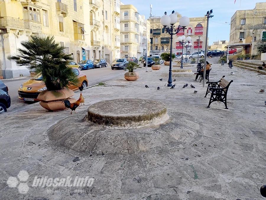 Koke na Trgu svetog Publija