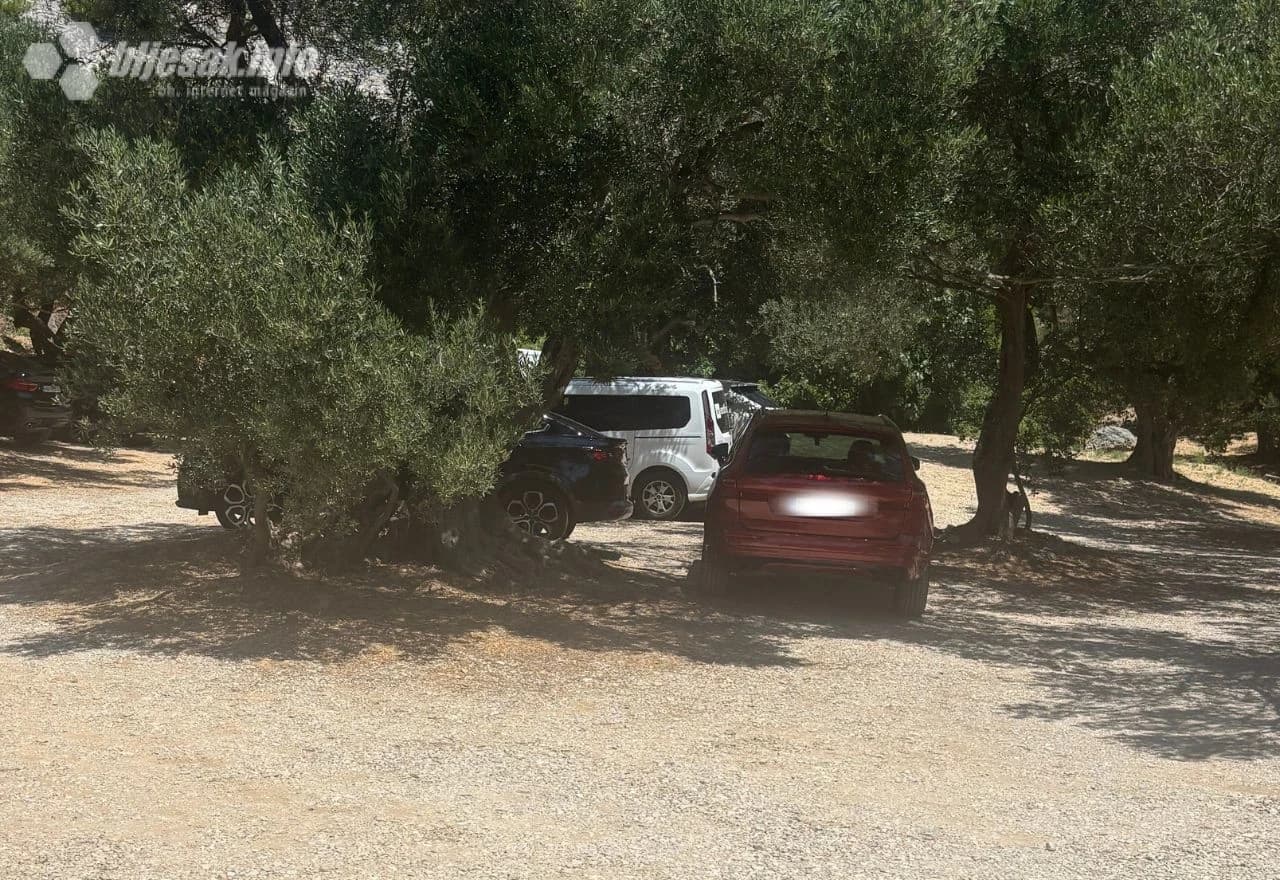 U blizini plaže i parking u hladovini maslina i borova