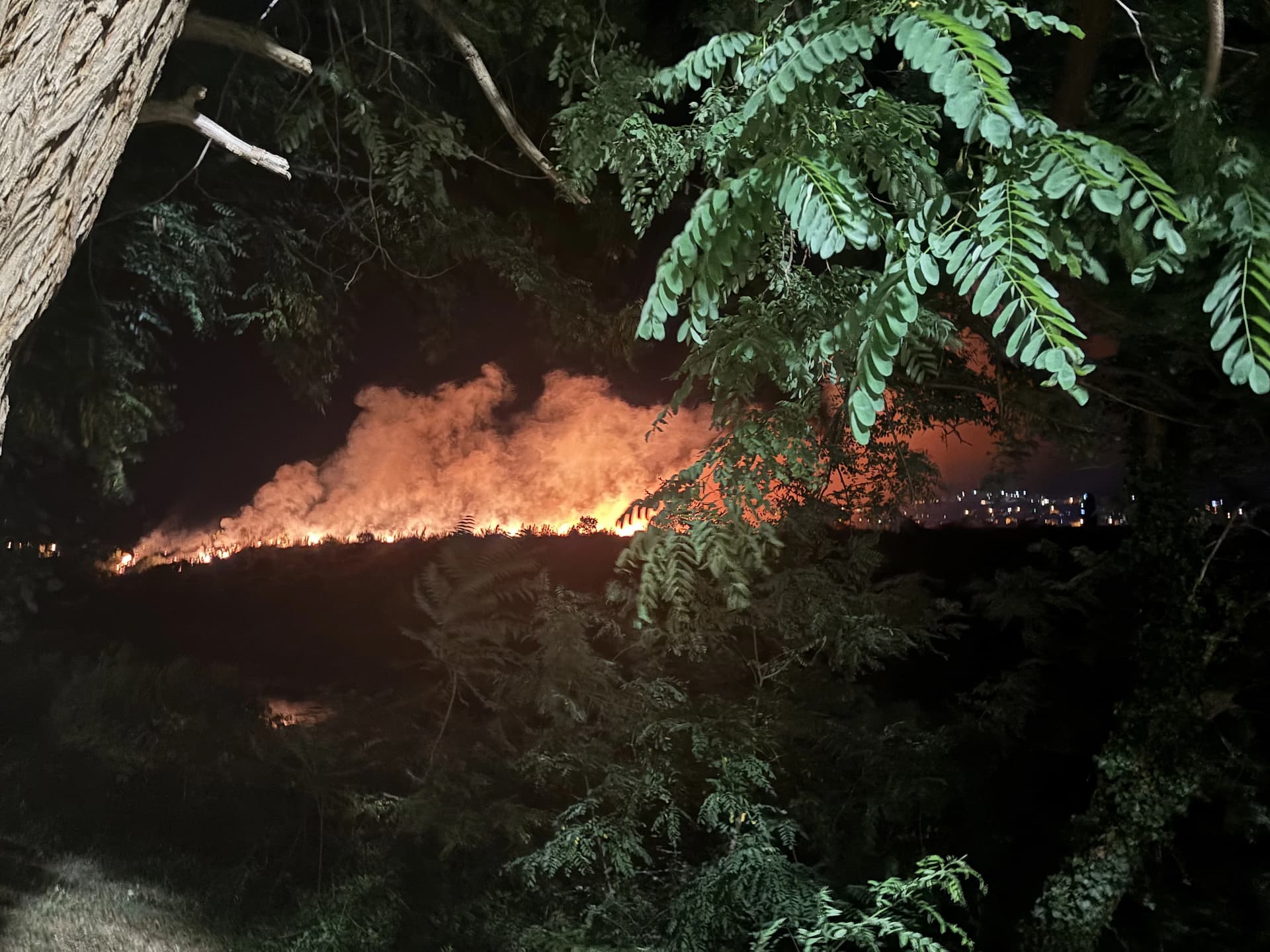 Požar u Sjevernom logoru