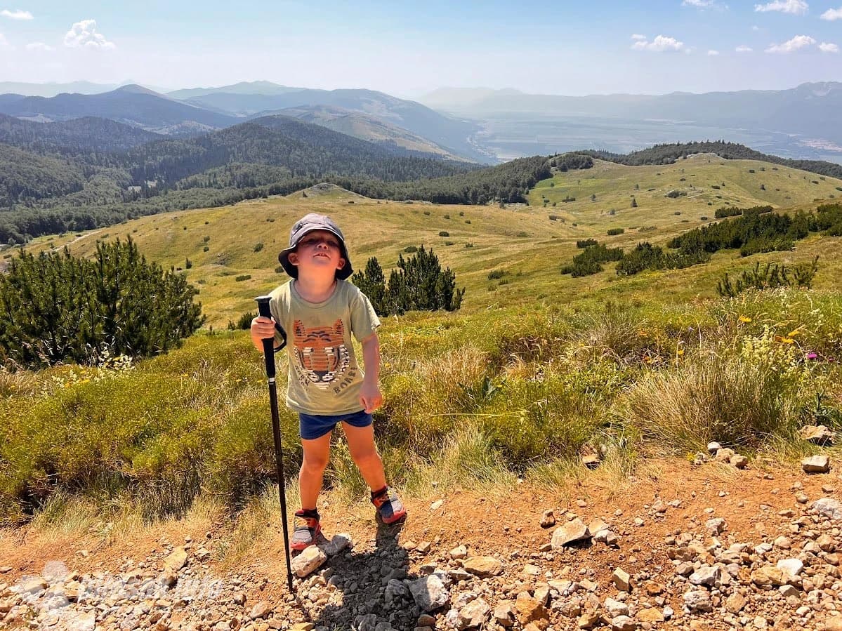 Mali planinar. Od opreme samo šešir i jedan štap. Dovoljno ...