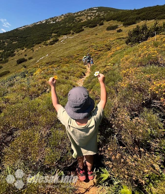Na putu prema vrhu Veliki Šator